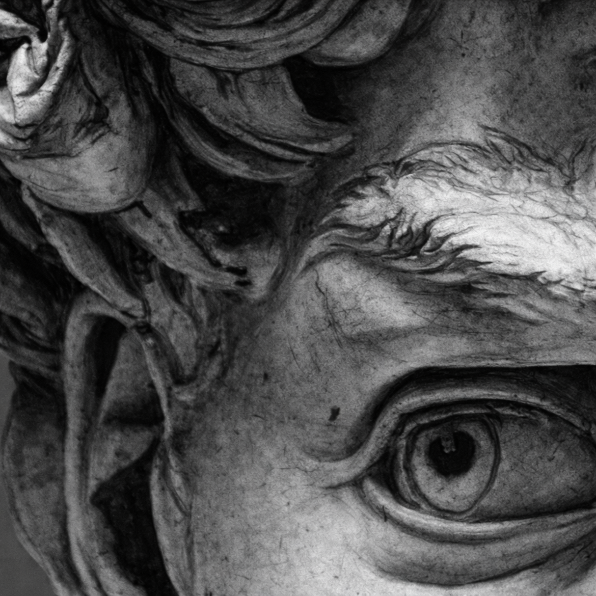 David Sculpture Face Wallpaper – Artistic Classical Mural for Contemporary Interiors
