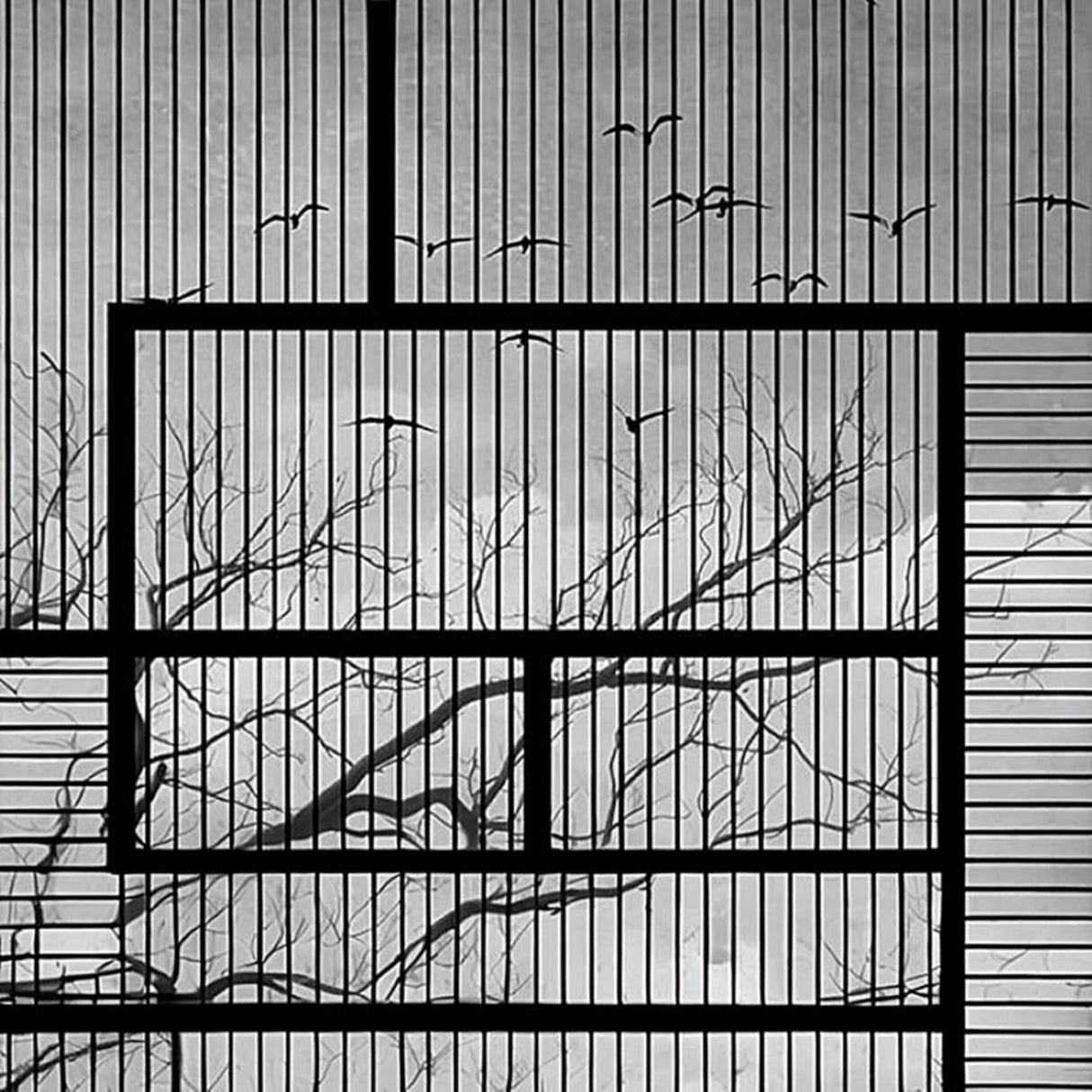 Papel pintado de ramas de árboles invernales y gaviotas: mural minimalista de naturaleza para interiores modernos