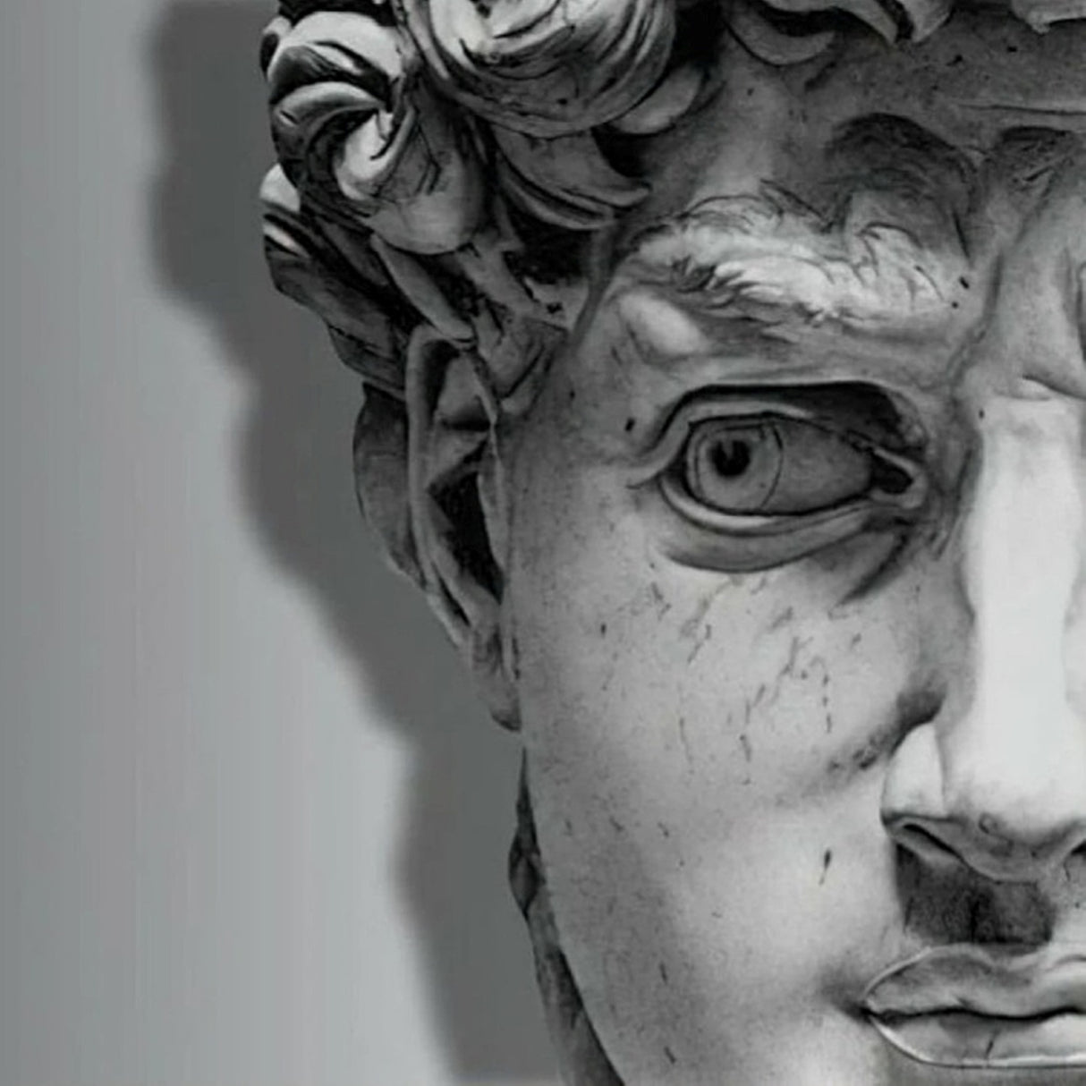 David Sculpture Face Wallpaper – Artistic Classical Mural for Contemporary Interiors