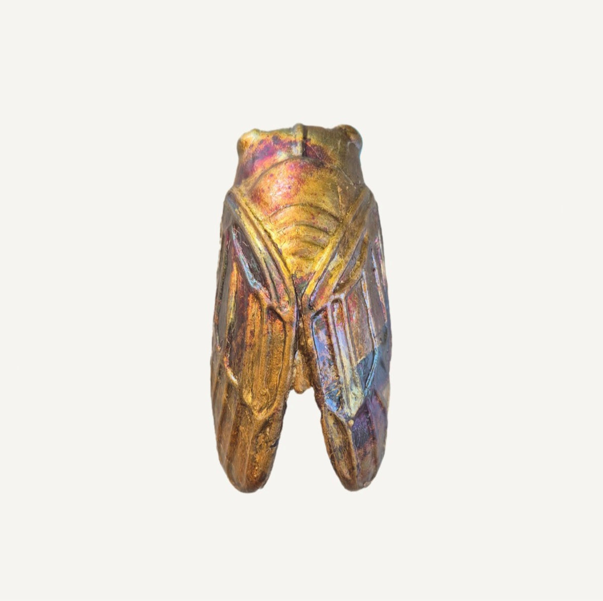 4 Piece Cicada Set - Insect Series Handmade Ceramic Wall Object – Contemporary Artistic Design
