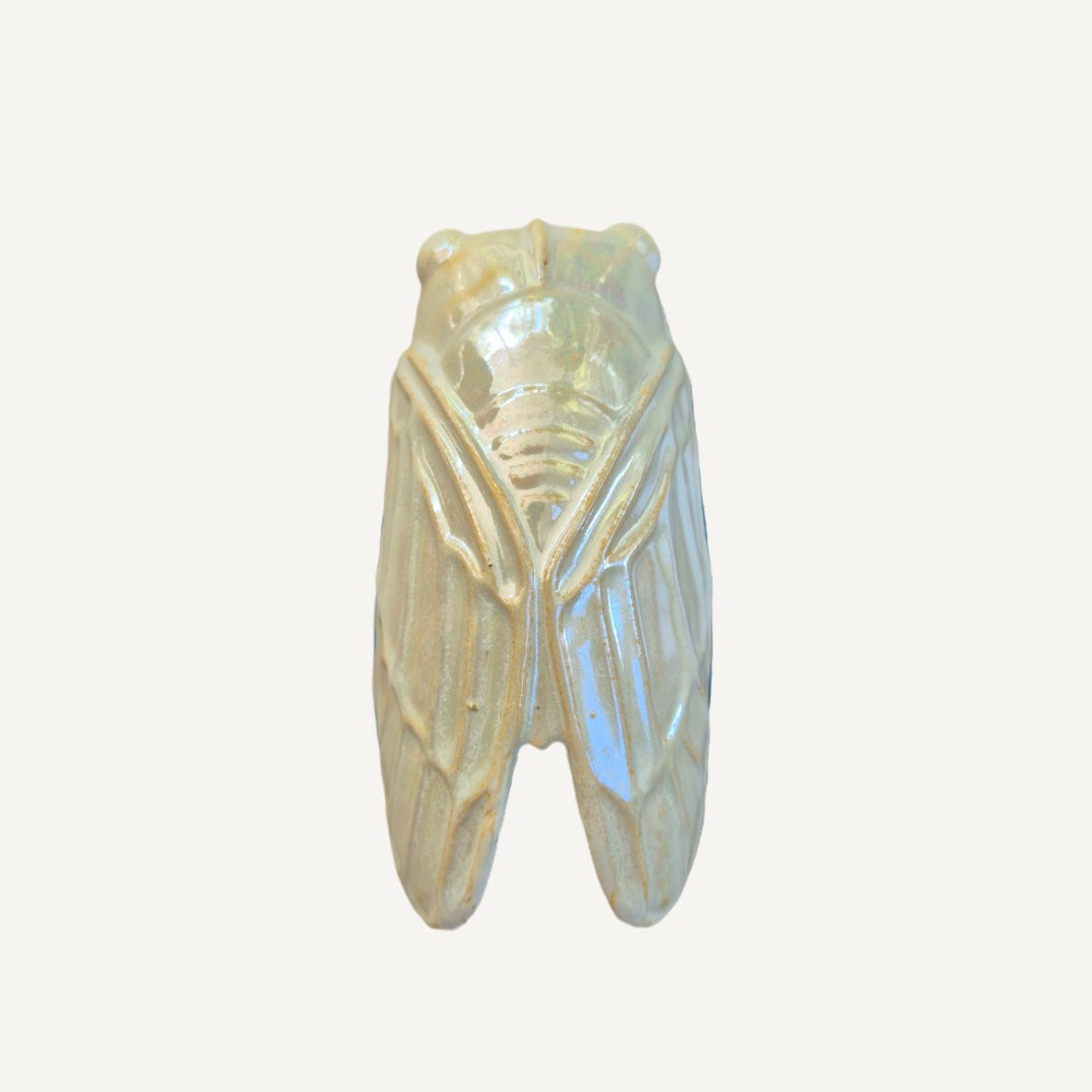 Cicada Pearl - Insect Series Handmade Ceramic Wall Object – Contemporary Artistic Design