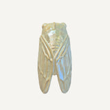 Cicada Pearl - Insect Series Handmade Ceramic Wall Object – Contemporary Artistic Design
