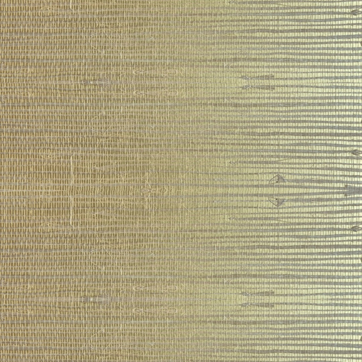 MDS018-CO2092 - Luxury Grasscloth Wallpaper With Gold Base (Grade III - Dense Weave - No2) – Woven Natural Elegance for