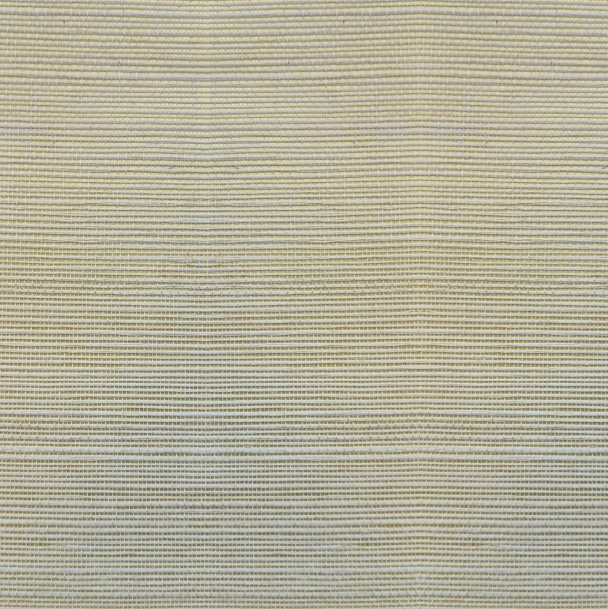 MDS015-CO2094 - Luxury Grasscloth Wallpaper With Gold Base (Grade I - Fine Weave) – Woven Natural Elegance for Walls
