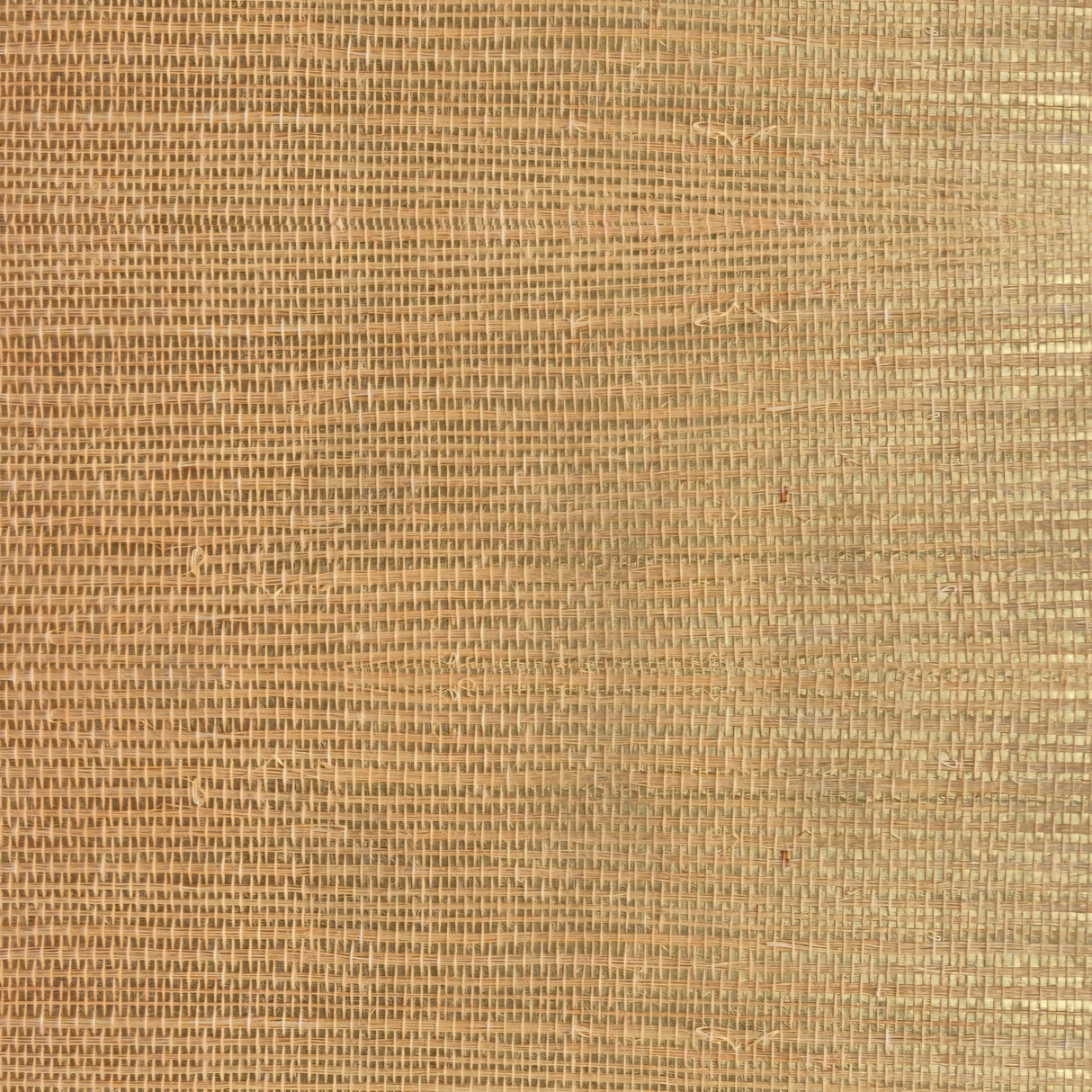 MDS019-PMG305 - Luxury Grasscloth Wallpaper With Gold Base  – Woven Natural Elegance for