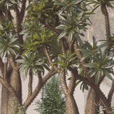Papel pintado de bonsáis grandes: mural artístico de naturaleza para interiores contemporáneos