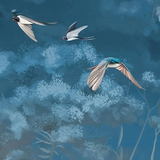 Papel pintado personalizado de golondrinas y aves marinas: mural artístico de cielo para interiores elegantes