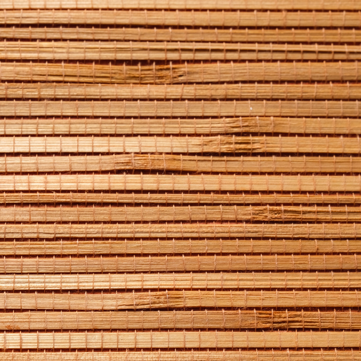 MDS023-ATTG101 - Papel pintado de lujo de bambú y hierba: chapa dorada natural para interiores serenos