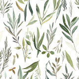 Olive Grove Harmony II Wallpaper – Soft Botanical Elegance for Serene Interiors