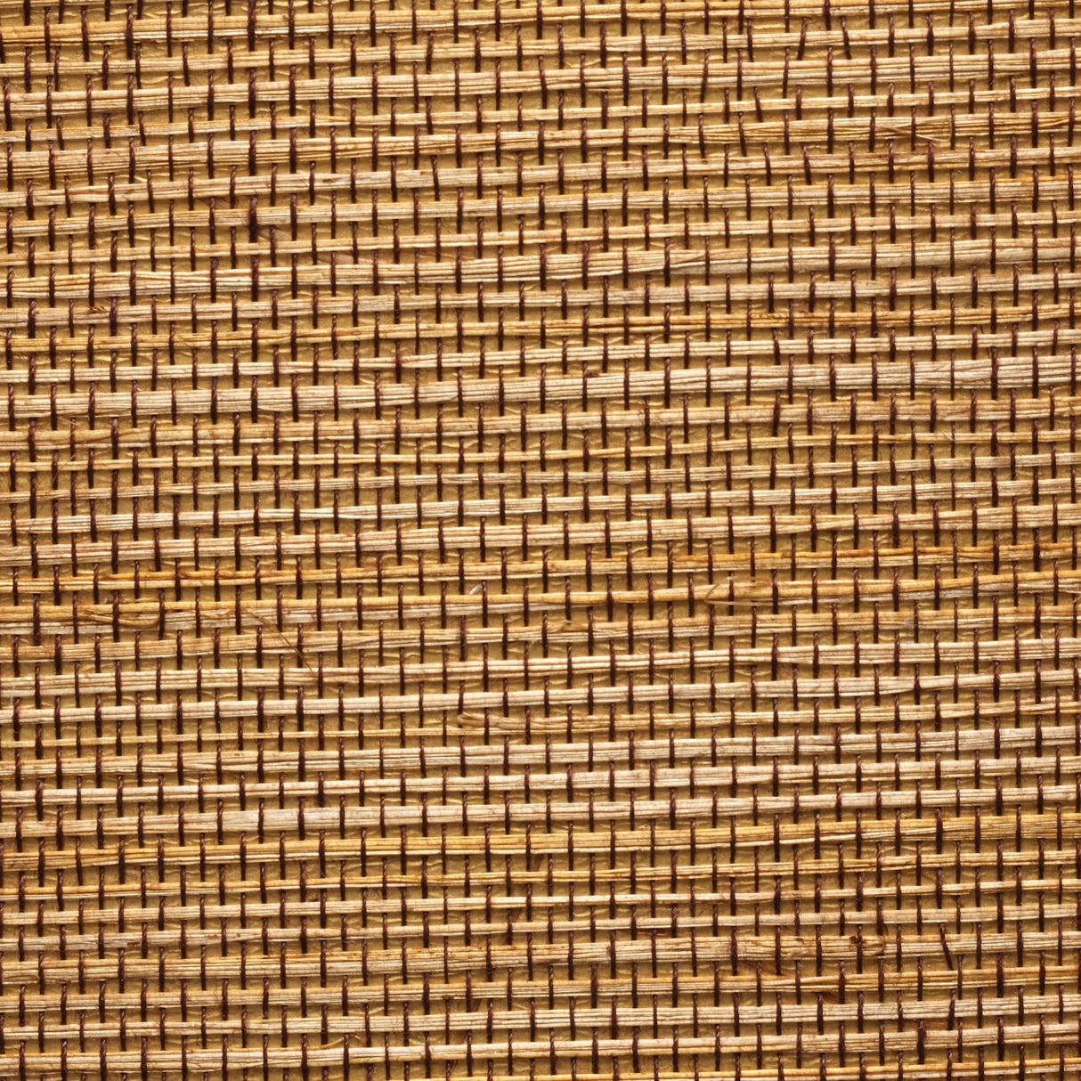 MDS020-PMG301 - Luxury Grasscloth Wallpaper With Gold Base – Woven Natural Elegance for Walls