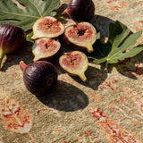 ZARA ZR 08 Green Autumn Artisan Tencel Rug | Hand-Loomed, Non-Shedding & Easy-Clean