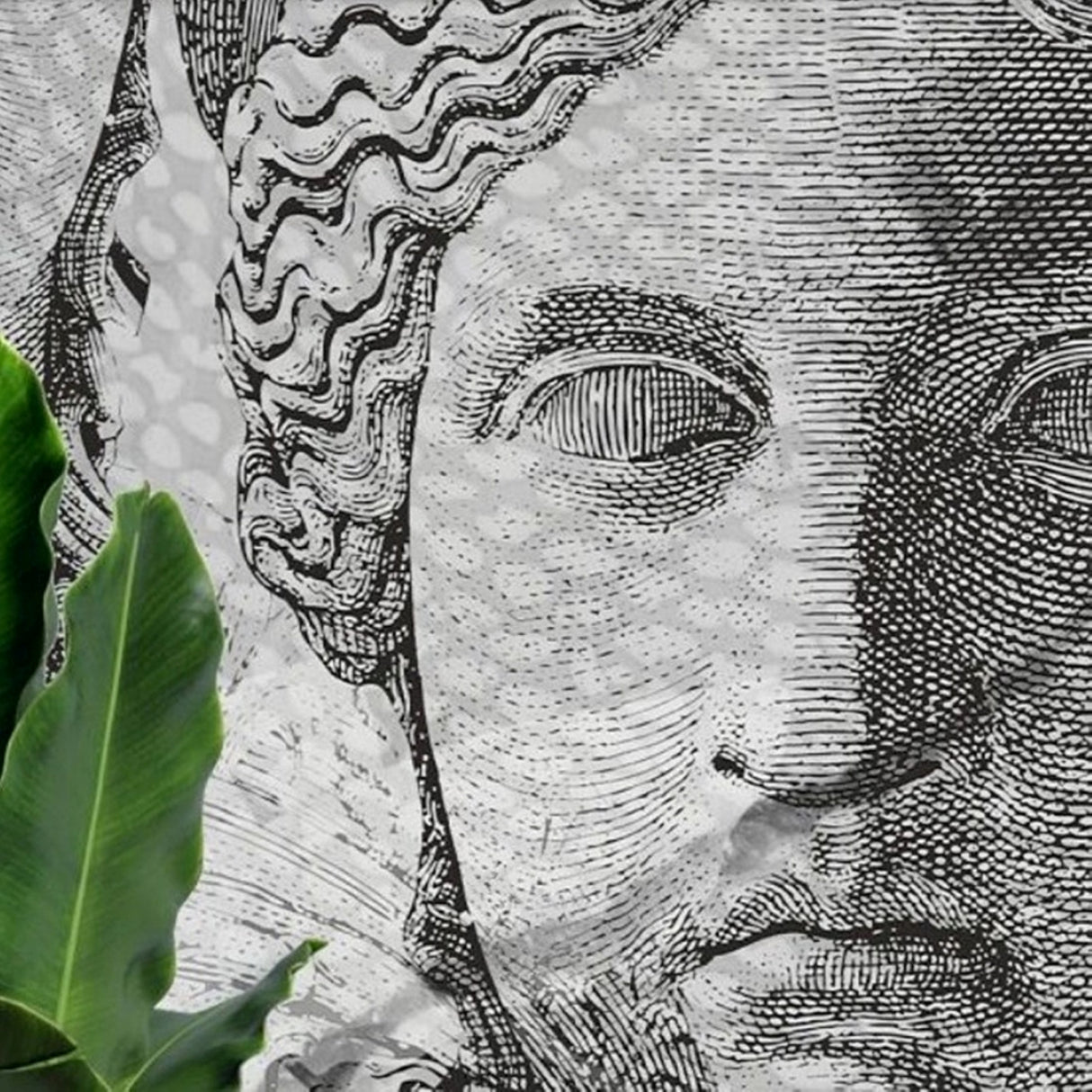 Monochrome Goddess Wallpaper – Classical Sculpture Mural for Contemporary Interiors
