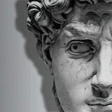 David Sculpture Face Wallpaper – Artistic Classical Mural for Contemporary Interiors